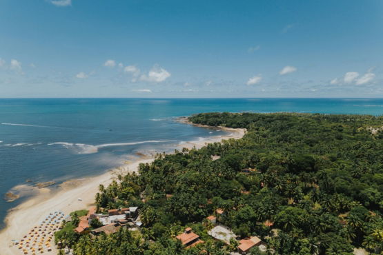 an aerial view of a tropical island with a beach